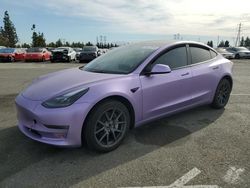 Tesla Model 3 salvage cars for sale: 2023 Tesla Model 3