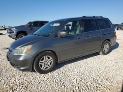 Honda Odyssey exl salvage cars for sale: 2007 Honda Odyssey EXL