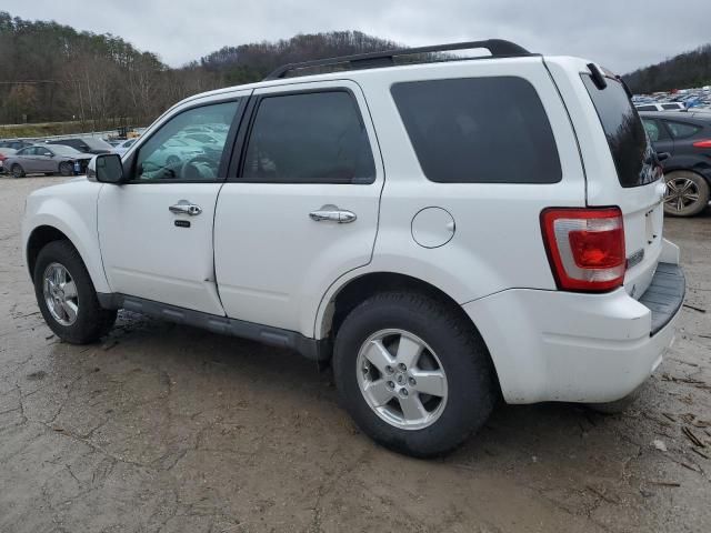 2011 Ford Escape XLT