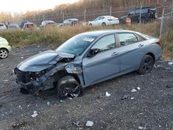 Hyundai Elantra salvage cars for sale: 2021 Hyundai Elantra SEL