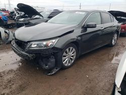 Honda Accord salvage cars for sale: 2013 Honda Accord EXL