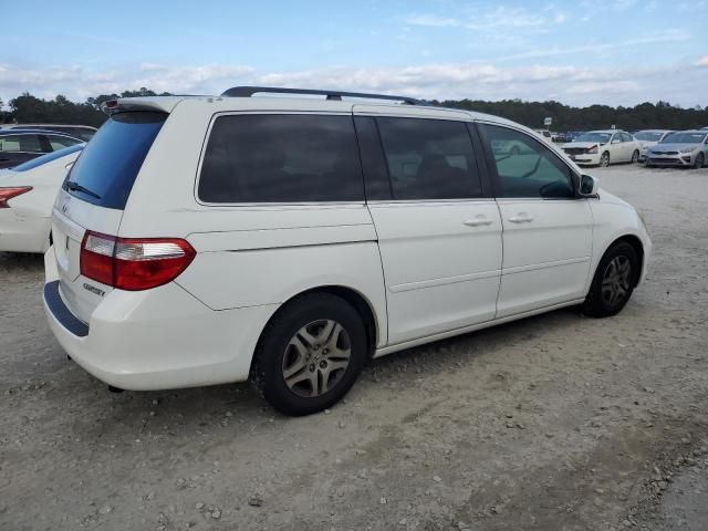 2005 Honda Odyssey EXL