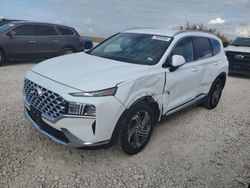 Hyundai Santa fe salvage cars for sale: 2021 Hyundai Santa FE SEL