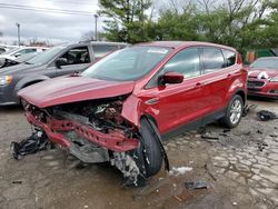 Ford salvage cars for sale: 2017 Ford Escape SE