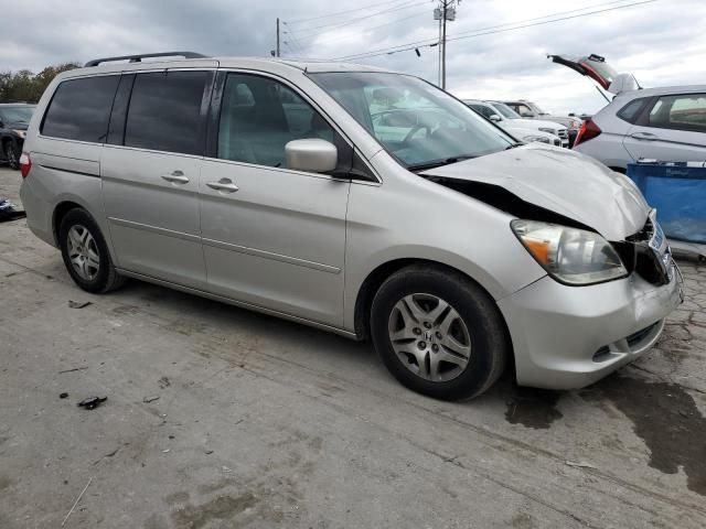 2005 Honda Odyssey EXL