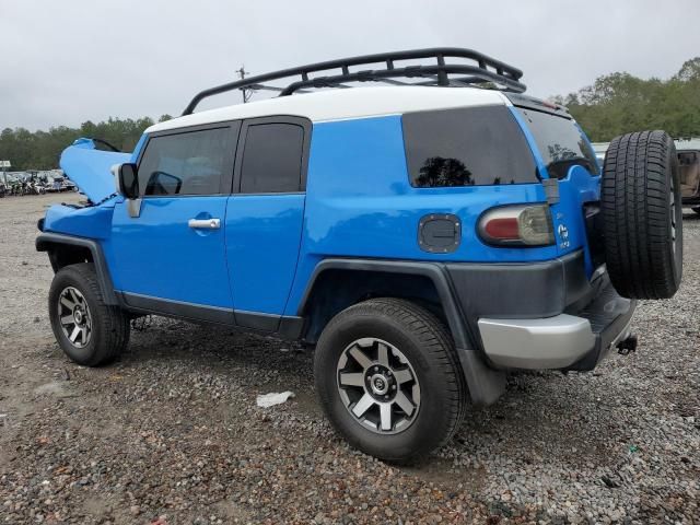 2007 Toyota FJ Cruiser