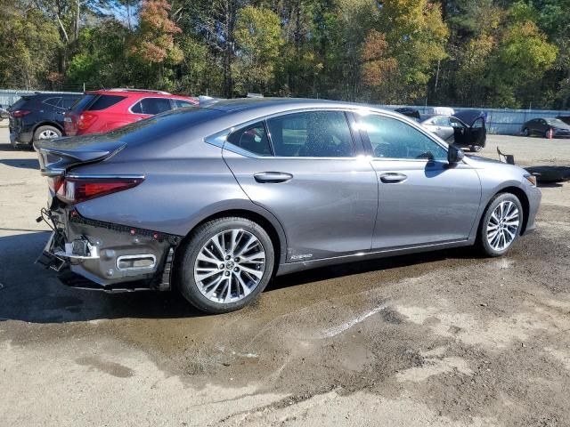 2020 Lexus ES 300H