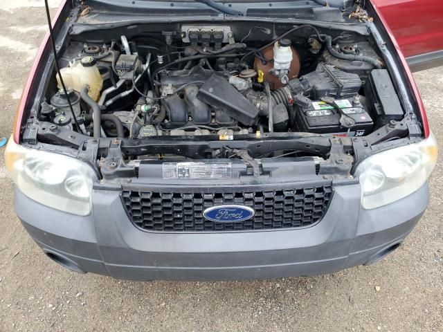 2005 Ford Escape XLT