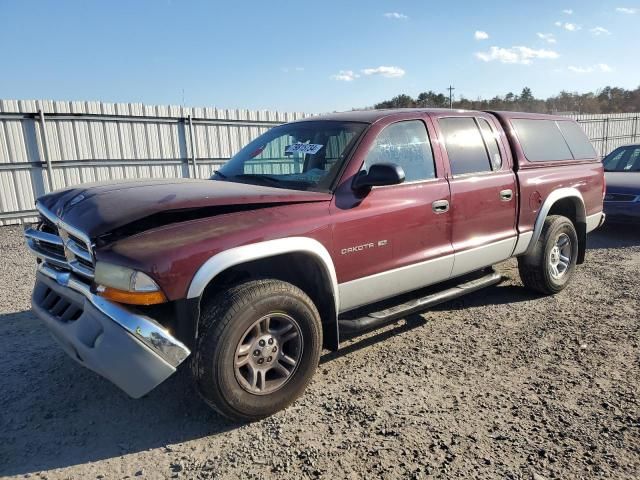 2001 Dodge Dakota Quattro