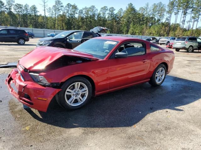 2013 Ford Mustang