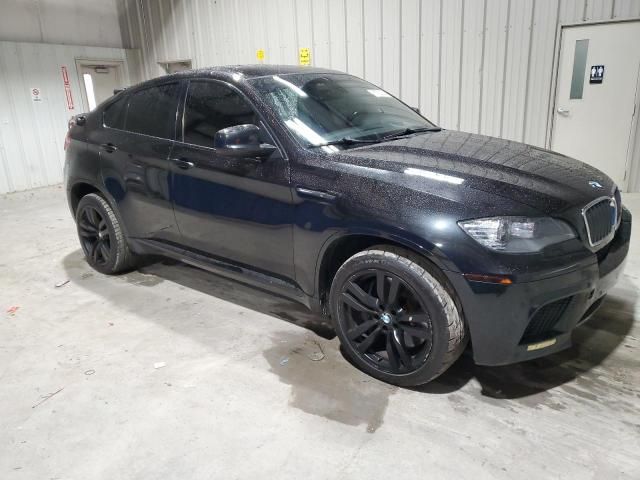 2010 BMW X6 M