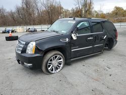 Cadillac salvage cars for sale: 2014 Cadillac Escalade Platinum