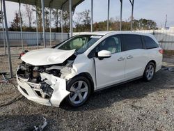 Honda Odyssey exl salvage cars for sale: 2019 Honda Odyssey EXL