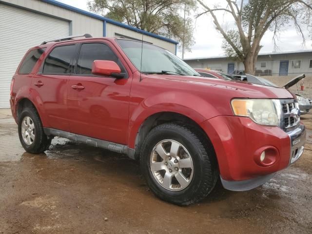 2011 Ford Escape Limited