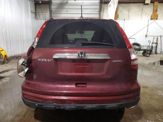 2010 Honda CR-V EXL