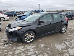 Ford Focus salvage cars for sale: 2017 Ford Focus SE