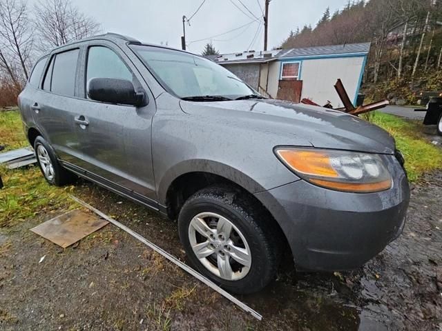 2009 Hyundai Santa FE GLS