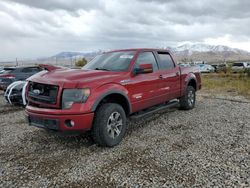 Ford f-150 salvage cars for sale: 2013 Ford F150 Supercrew