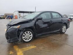 Toyota Corolla salvage cars for sale: 2010 Toyota Corolla Base