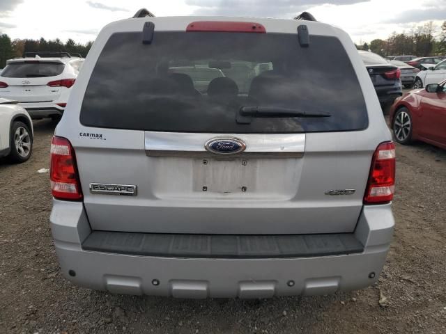 2008 Ford Escape Limited