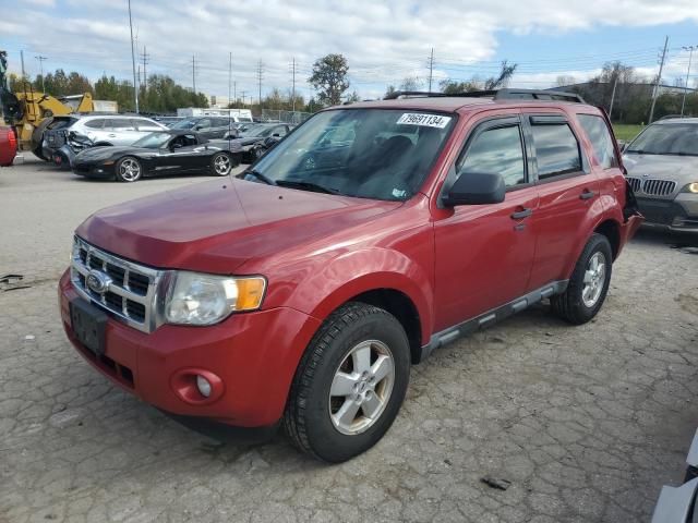 2010 Ford Escape XLT