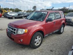 Ford Escape salvage cars for sale: 2010 Ford Escape XLT