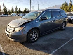 Honda Odyssey exl salvage cars for sale: 2012 Honda Odyssey EXL