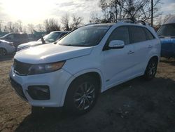 KIA Sorento salvage cars for sale: 2013 KIA Sorento SX