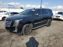 Cadillac Escalade salvage cars for sale: 2020 Cadillac Escalade Luxury