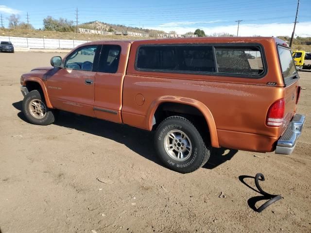 2000 Dodge Dakota