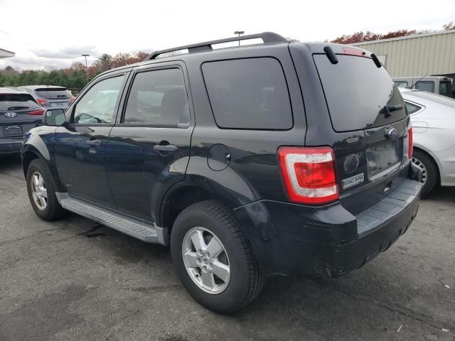 2011 Ford Escape XLT