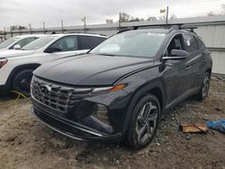 Hyundai Tucson salvage cars for sale: 2023 Hyundai Tucson Limited