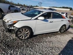 Hyundai Sonata salvage cars for sale: 2013 Hyundai Sonata SE