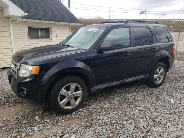 2012 Ford Escape XLT