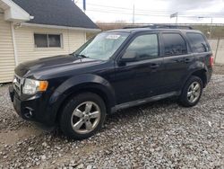 Salvage cars for sale from Copart Northfield, OH: 2012 Ford Escape XLT