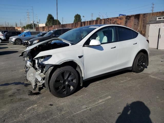 2020 Tesla Model Y