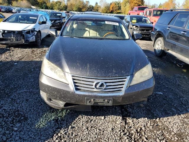 2010 Lexus ES 350