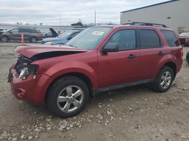 2012 Ford Escape XLT