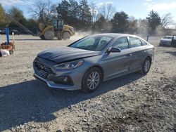 Hyundai salvage cars for sale: 2019 Hyundai Sonata SE