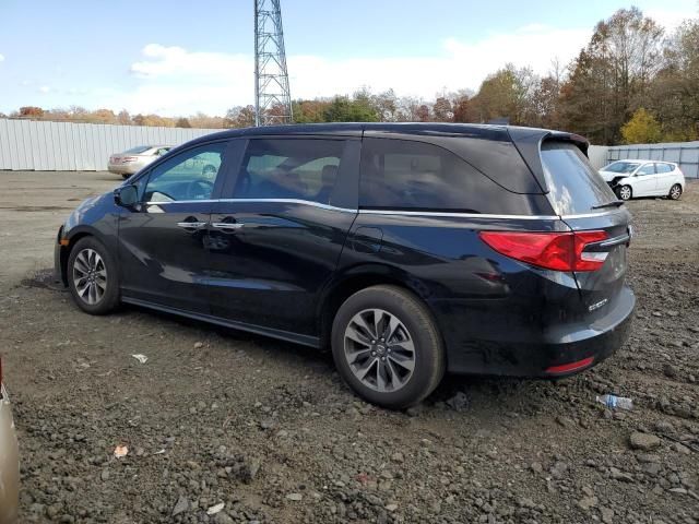 2024 Honda Odyssey EXL