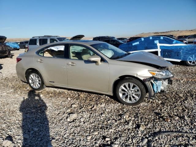 2014 Lexus ES 300H