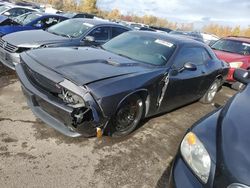 Dodge Challenger salvage cars for sale: 2013 Dodge Challenger R/T