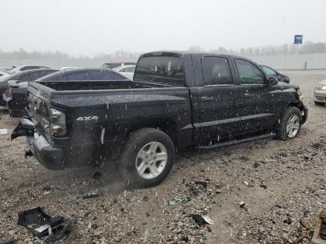 2011 Dodge Dakota SLT