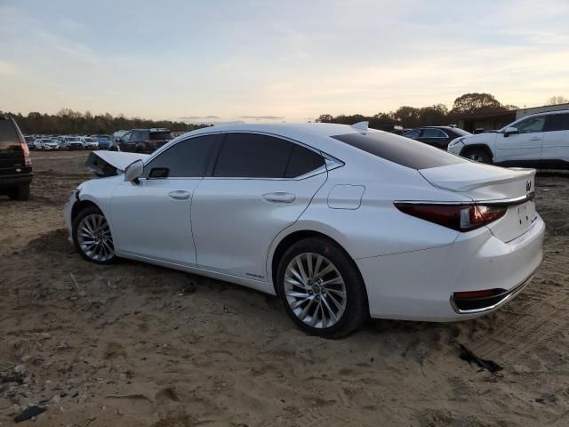 2019 Lexus ES 300H