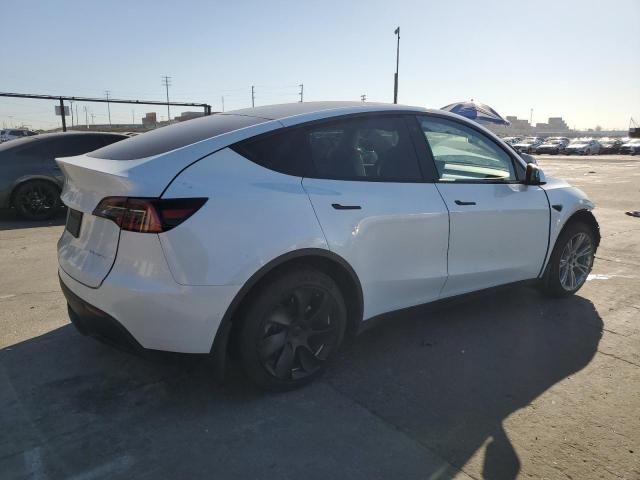 2020 Tesla Model Y