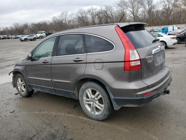 2010 Honda CR-V EXL