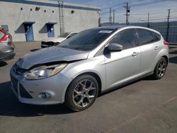 Ford Focus salvage cars for sale: 2013 Ford Focus SE