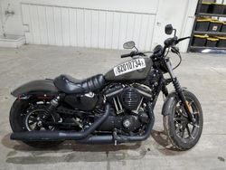 Harley-Davidson xl883 n salvage cars for sale: 2019 Harley-Davidson XL883 N