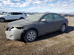 Toyota Camry salvage cars for sale: 2010 Toyota Camry Base