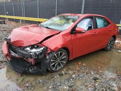 Toyota Corolla salvage cars for sale: 2019 Toyota Corolla L